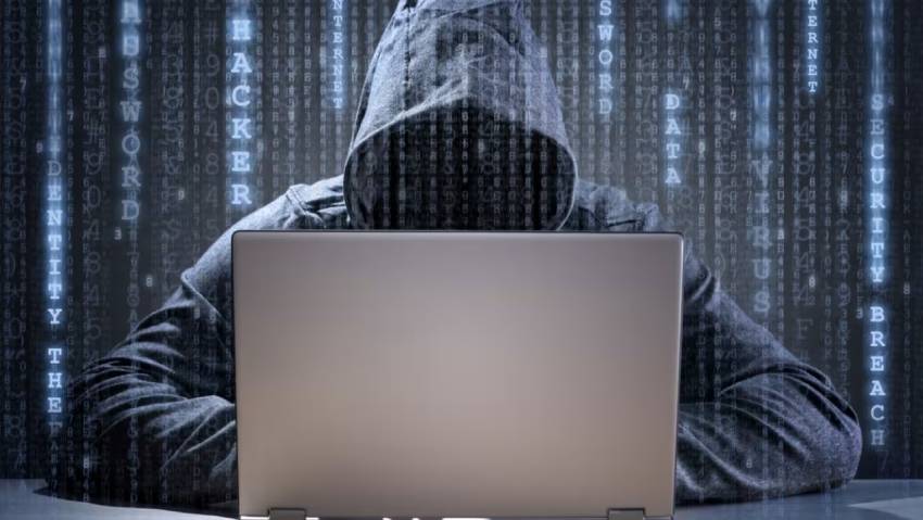 驻马店小程序定制开发：.NET的利刃与暗礁